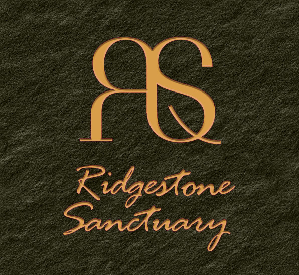 Rooted Secrets exterior — lush garden entrance with intertwined roots